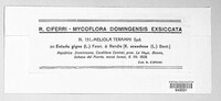 Meliola teramni image